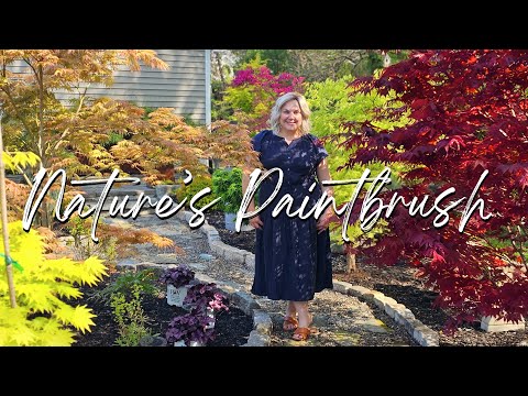 Tour of Our Japanese Maple Collection. The Tree that Transforms ANY Garden!