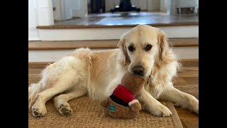 Mary Chapin Carpenter - Songs From Home Episode 49: Bells Are Ringing