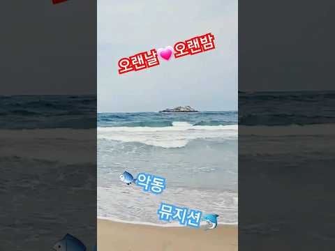 악동뮤지션-오랜 날 오랜 밤  #악동뮤지션 #ygentertainment #오랜 날 오랜밤 #가요