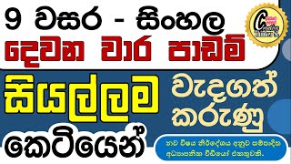 grade 9 sinhala 2nd term test #grade 9 sinhala past paper #grade 9 lessons #grade 9 sinhala paper