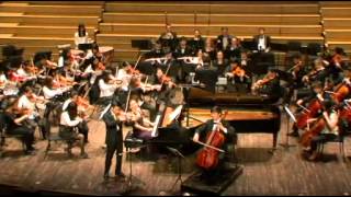 Beethoven Triple Concerto, Movement III: Rondo alla polacca