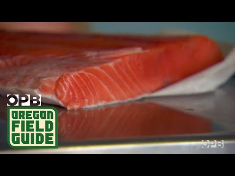The Newport Fishmonger Who Keeps Business Humming | Oregon Field Guide