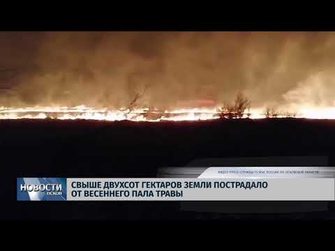 02.04.2019 / Более двухсот гектаров земли пострадало от весеннего пала травы