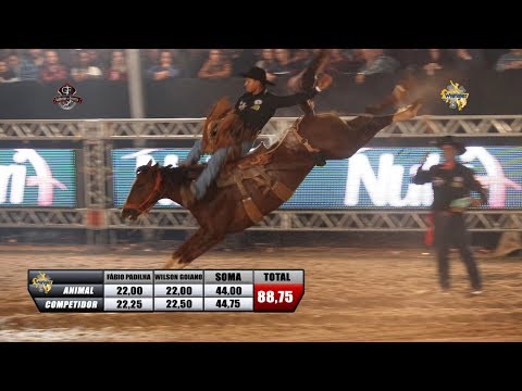 22º RIO PRETO COUNTRY BULLS - SÁBADO / MELHORES MONTARIAS CUTIANO