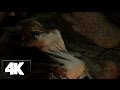 Vikings First Sexiset Momment Ragnar Lodbrok Katheryn Winnick Ultra HD 4K