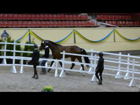 Baloé Hp f 14 e  Balou du Rouet Clearway