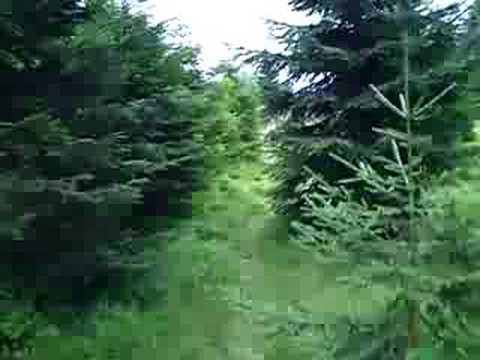 Stempelstelle 136 Eckersprung - Harzer Wandernadel