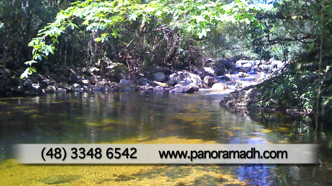 Panorama: Personal Therapy