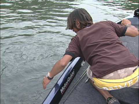 Воблеры Nories Bihadou