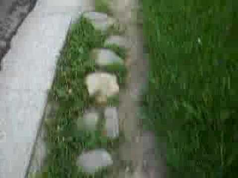 Plimbare Selgros - Gara Suceava - Centru 11/11