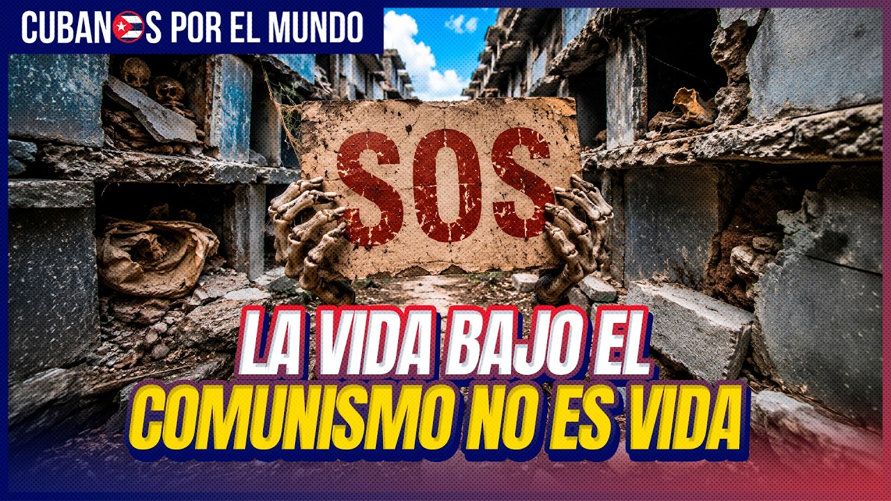 Así está el cementerio de Camagüey tumbas abierta