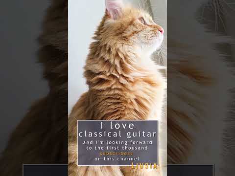 ✅I love classical guitar. J. S. Bach - Prelude BWV 1006a (fragment) #guitar #classicalguitar #cats