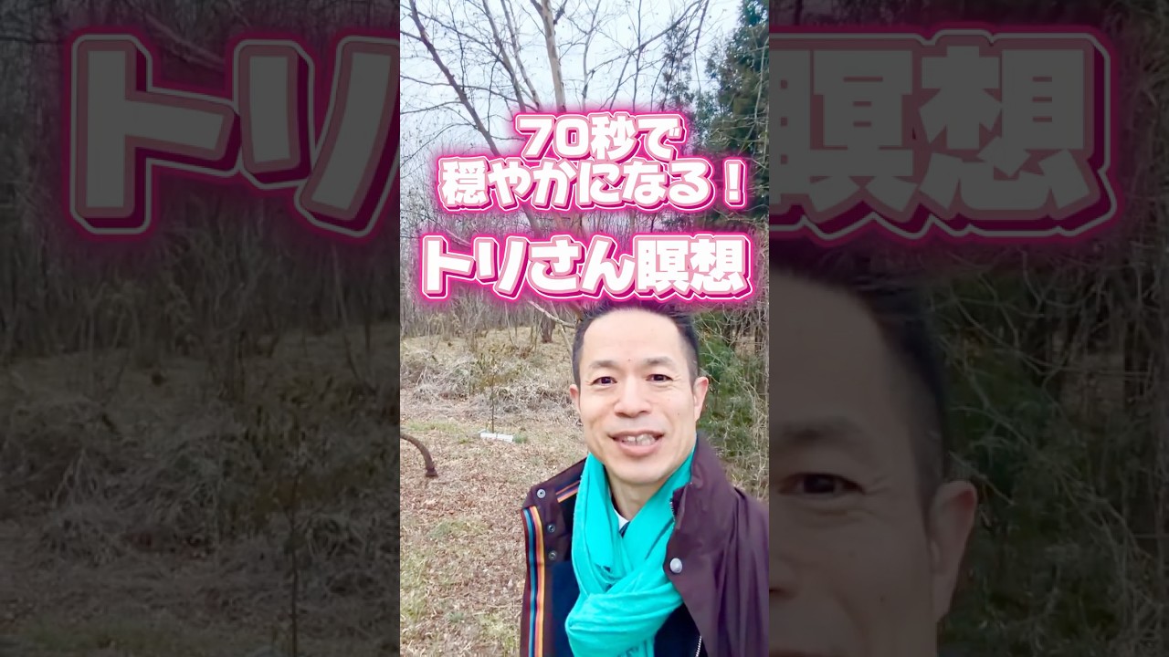 【70秒瞑想！】春先のコトリと穏やかに！#量子力学的習慣術 #量子力学的生き方 #感謝 #村松大輔 #瞑想