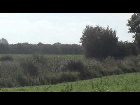 RPSI V Class 4-4-0 Steam Locomotive (No. 85 "Merlin") @ Peter's Bridge - 31st of August 2014