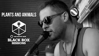 Plants and Animals - "No Worries Gonna Find Us"