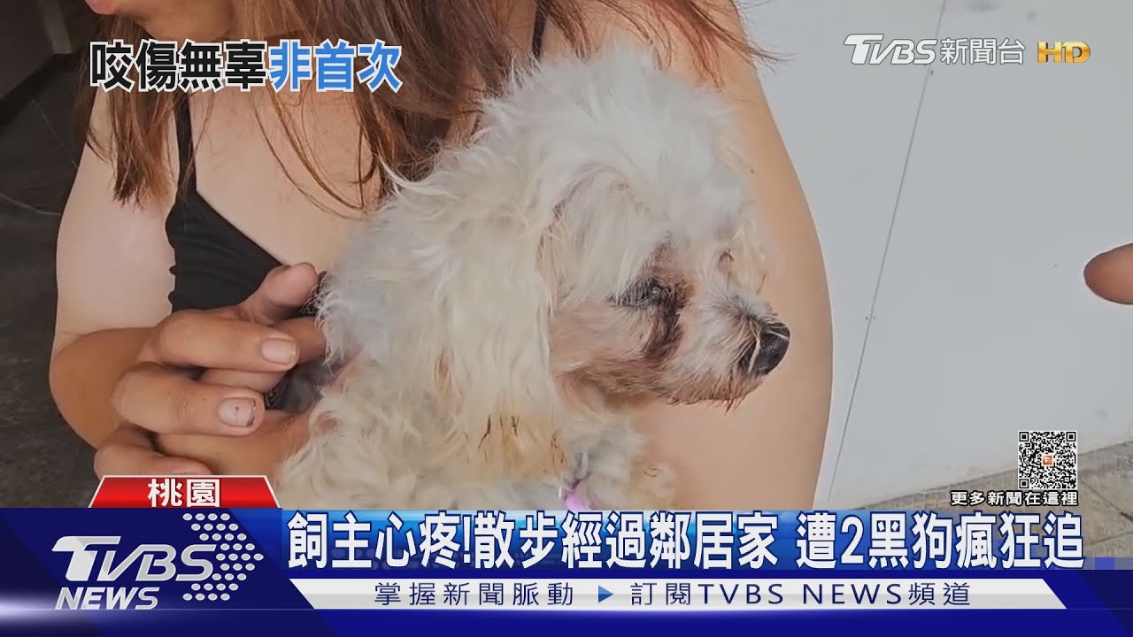 飼主護不住!鄰居大狗突暴衝 小狗慘遭狠咬