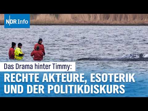 Wal Timmy in der Ostsee: Zwischen Telepathie und Fischbrötchen | Überland I NDR Info