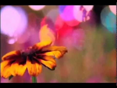 Tatwaffe - Seelenlos