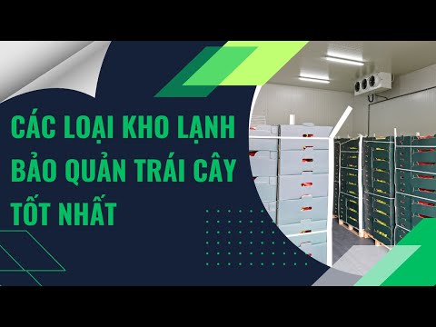 Các Loại Kho Lạnh Bảo Quản Trái Cây Tốt Nhất Hiện Nay