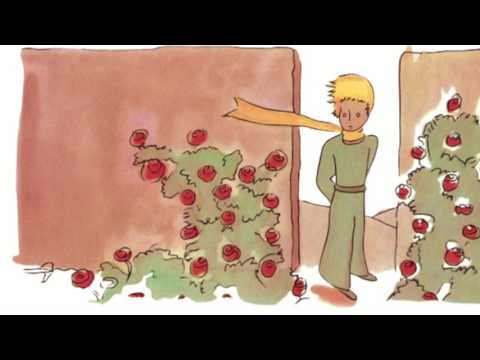 Le Petit Prince - Chapitre 20 : "Le Jardin de Roses"