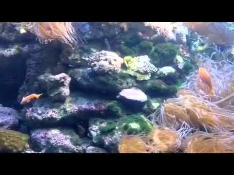 Resource sustainability UWS - Ranjita Khadka