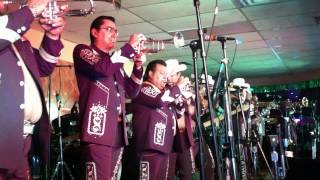 QUIEN ERES TU LABERINTO