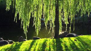 David Arkenstone - Places in the Heart