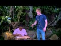 Clip Kings Vs Wild Pair Of Kings Disney XD Official