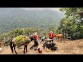 Making A Horse Muzzle Milking Cows Cooking Kashil With Fresh Milk