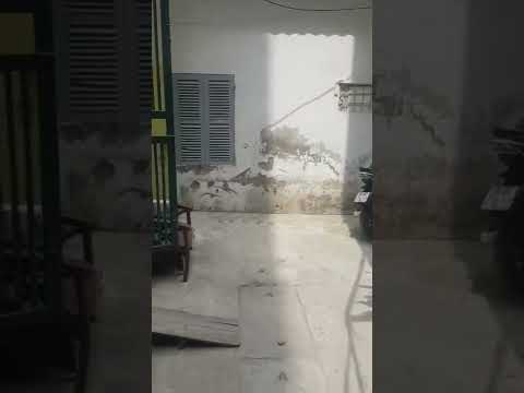 Nhanh tay không lỡ! Mảnh đất đep Hoàng Ngân, Thanh Xuân, Dt 43m2 x 4.2m