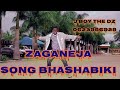 Zaganeja Song Bhashabiki New 2026