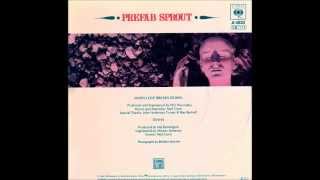 Diana - Prefab Sprout (original version from 1984 single)