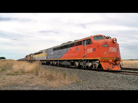 9197 SSR Broad Gauge Grain Train S302 S317 T363 P16 S312 (13/2/2022) - PoathTV Australian Railways