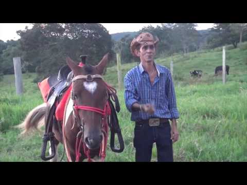 Prog. Prosa, Café e Viola nº 353 Parte 04 – Clipes: PLANO B – LAVAJATO