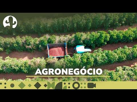 História e Produtividade em Patrocínio-MG com Lucas Alves | #EP27: Pé no Campo