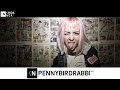 pennybirdrabbit - THE SKY IS FALLING