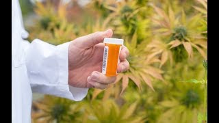 Cannabis News - Let My People Smoke | Ep. 314 | 01-17-2019