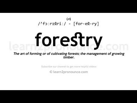 , title : 'Pronunciation of Forestry | Definition of Forestry'
