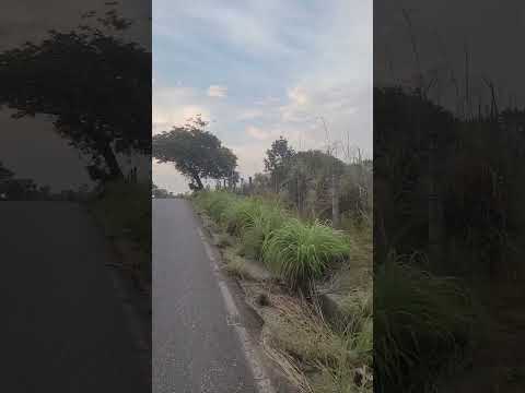 vía cau Asia a Nechí Antioquia #shorts #caucasia