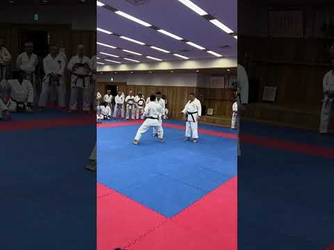 Joko issei by Toyama-sensei #kata #jokoissei #shotokan #karate #空手道 #空手 