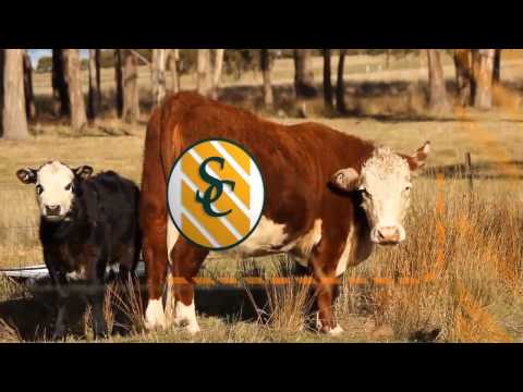 Programa Entre Surcos y Corrales  - Lunes 13-02-17