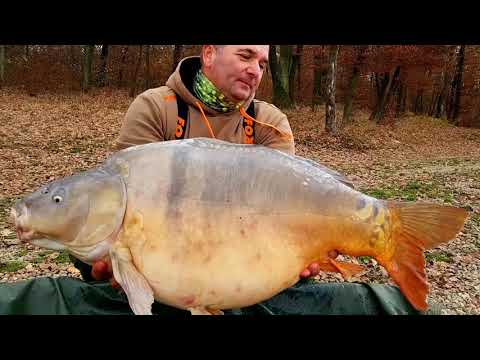 Carpfishing Lacul Cetariu - Autumn paradise
