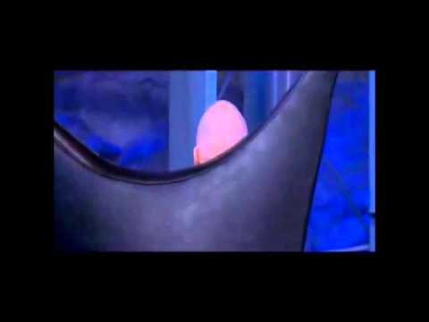 The Power of Christ Compels You.wmv