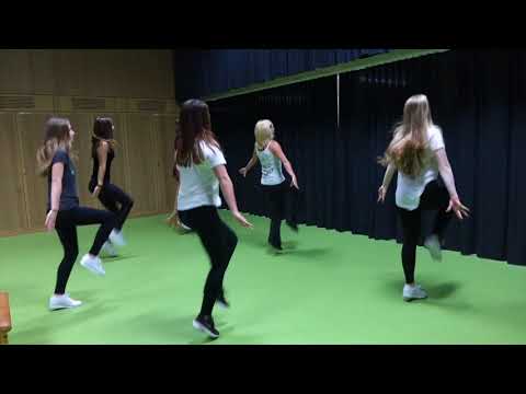 Die Rock'n Roller der TG Biberach tanzen sich zu 500 Euro!