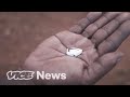 The Most Dangerous Black Market You Ve Never Heard Of