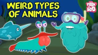 Weird Animals In The World - The Dr. Binocs Show |  Best Learning Videos For Kids | Dr Binocs