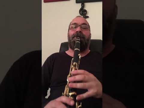 Mükemmel Tavır Klarnet Taksim - Birol Gürkan