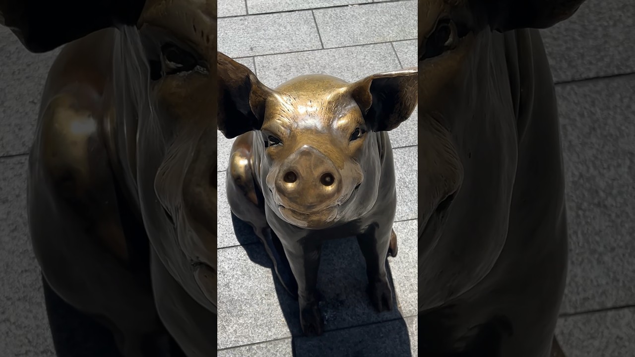 YouTube Short thumbnail