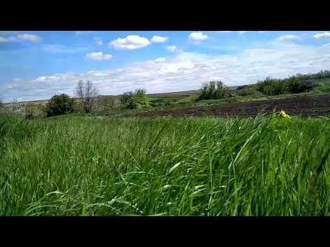 Jamala feat alyona alyona ( Жаль)