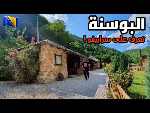 الفيديو